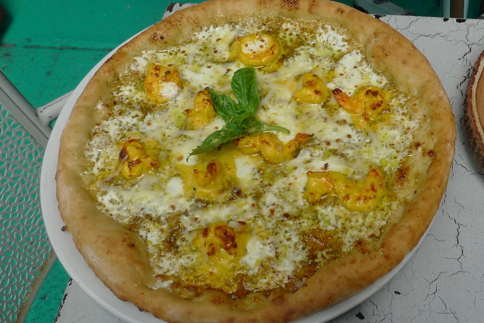 G.F.Sicilia